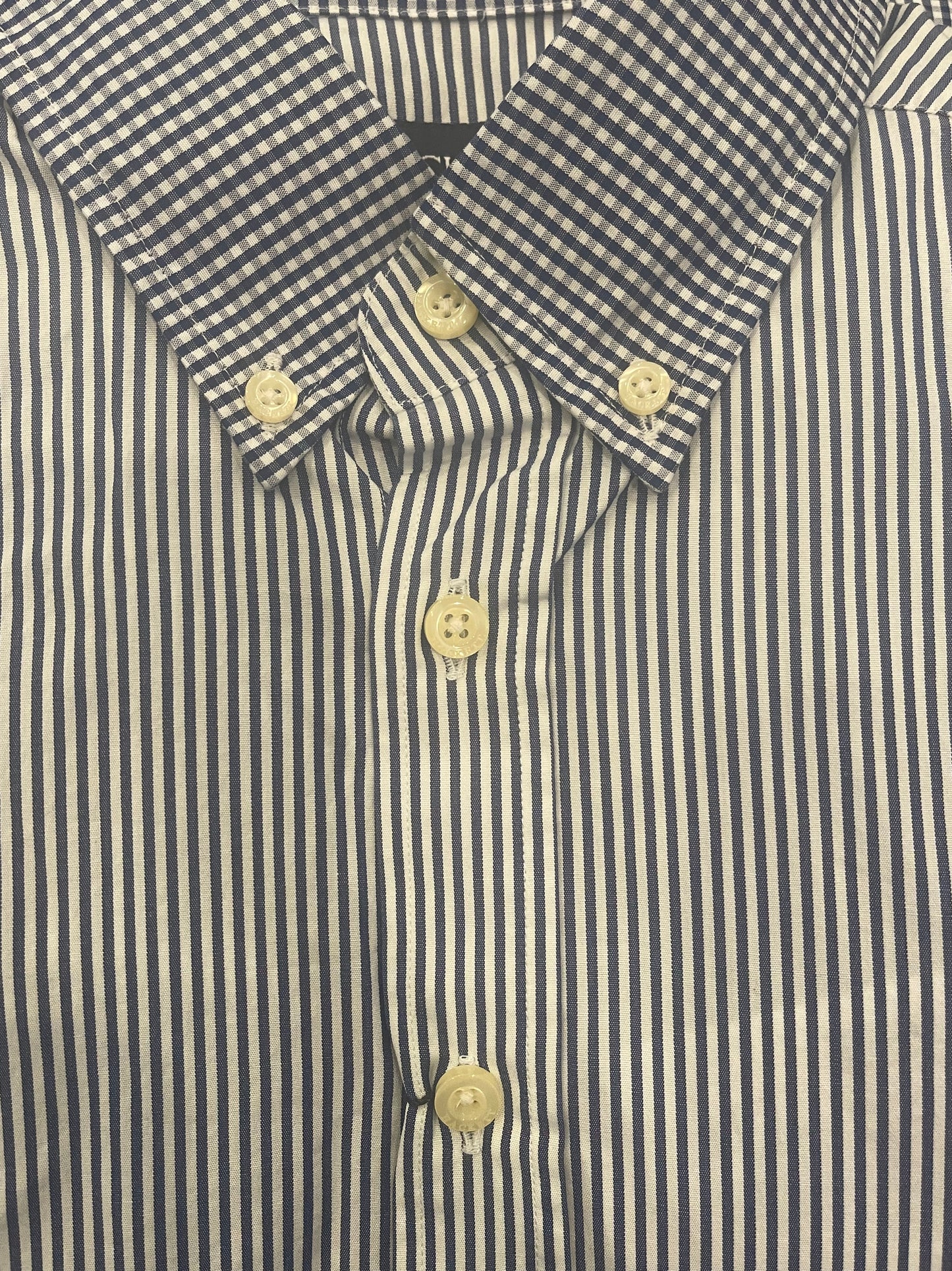 Placed Gingham Check Dress Shirt