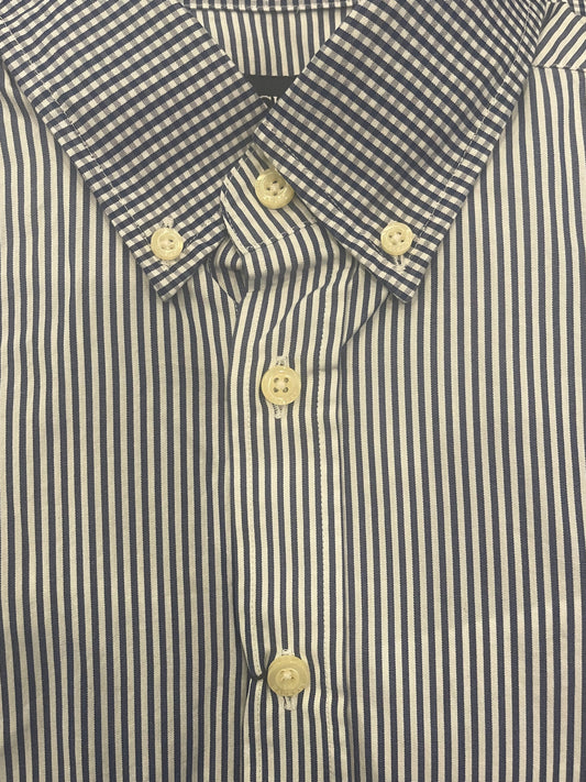 Placed Gingham Check Dress Shirt