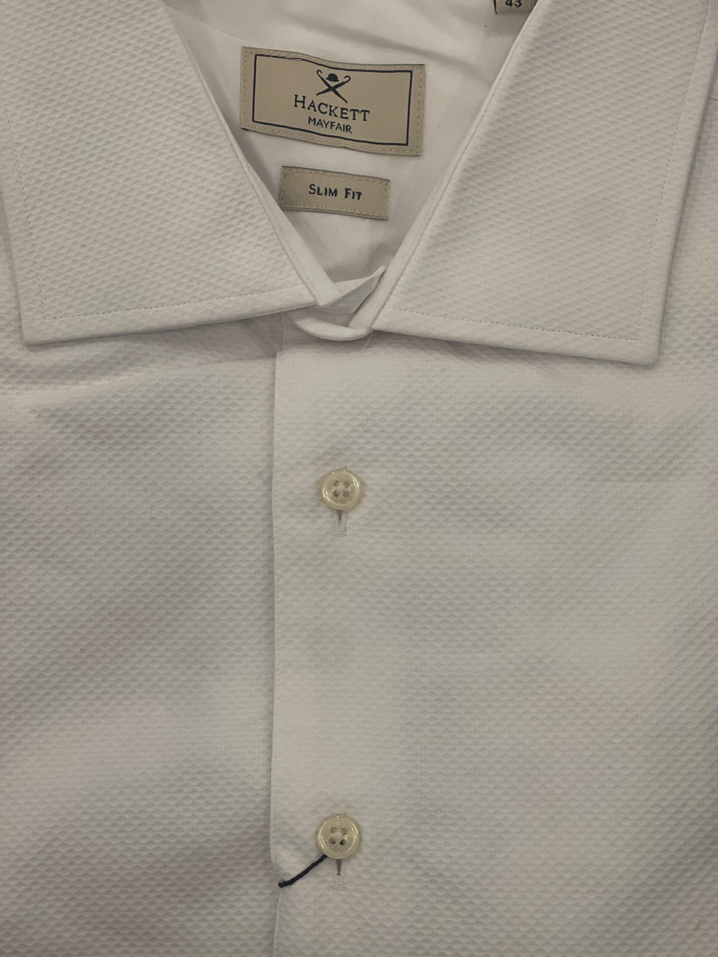 Marcella Slim Dress Shirt
