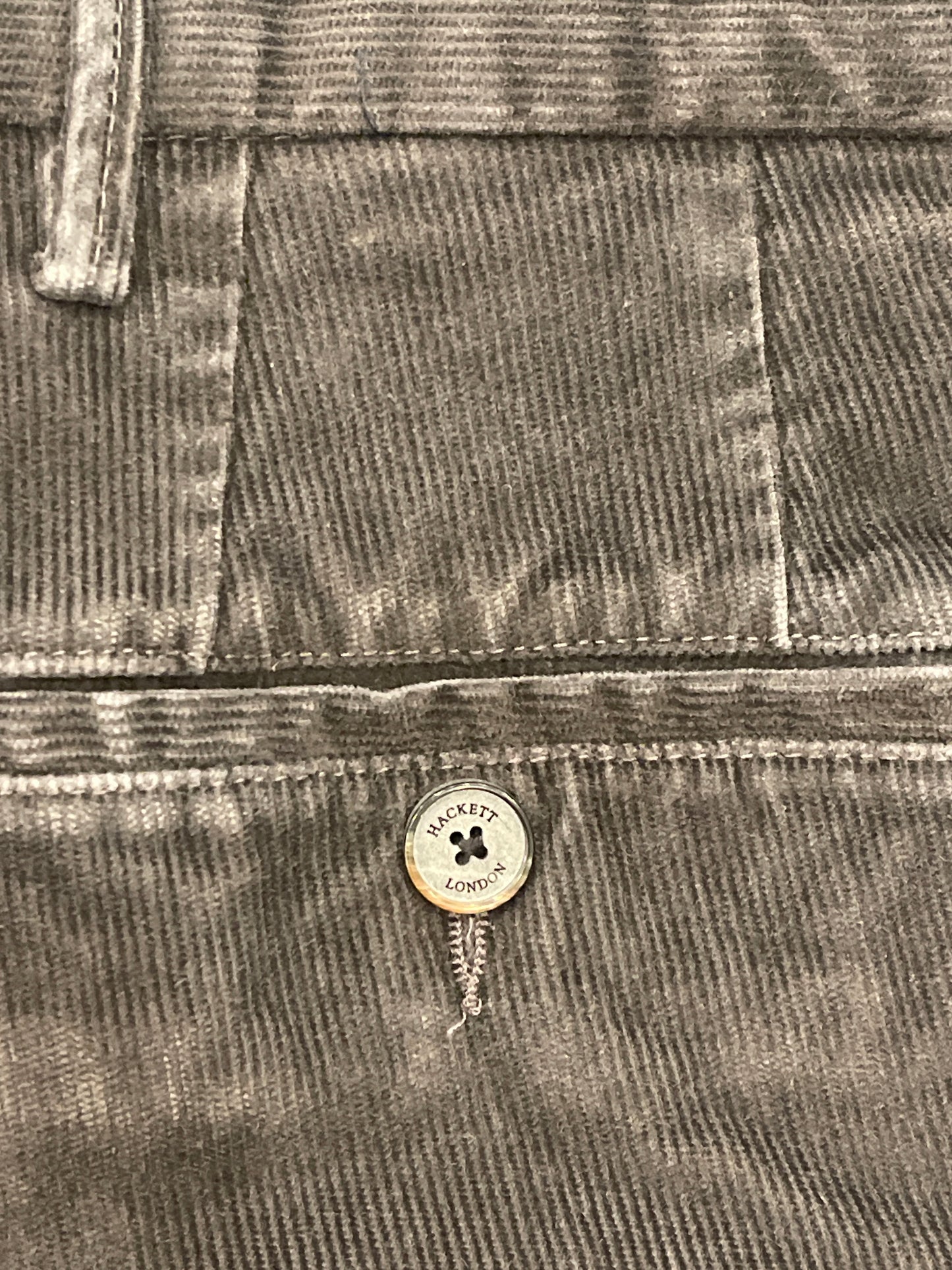 Ashby Chino