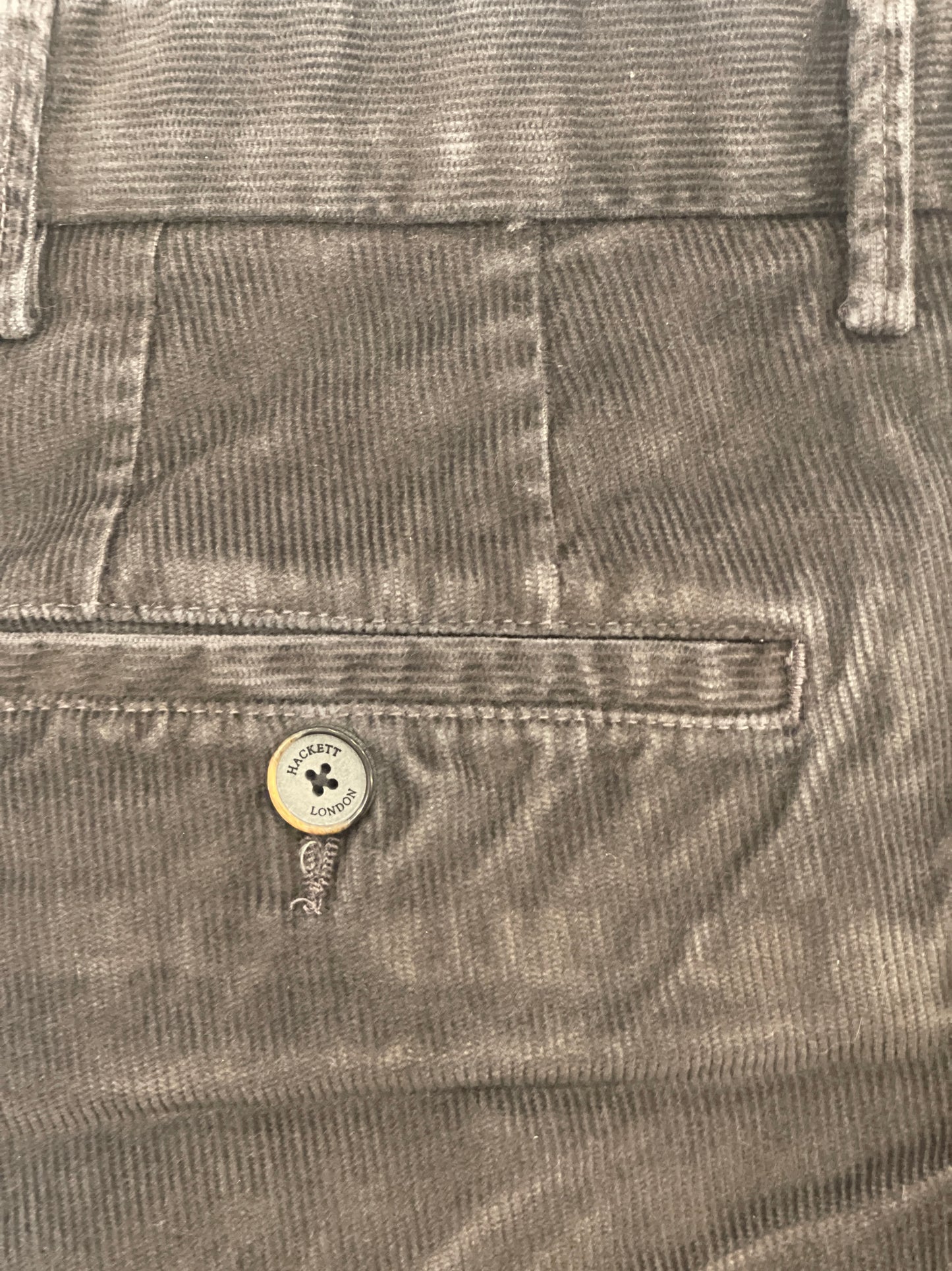 Ashby Chino